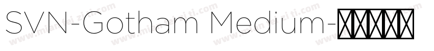 SVN-Gotham Medium字体转换